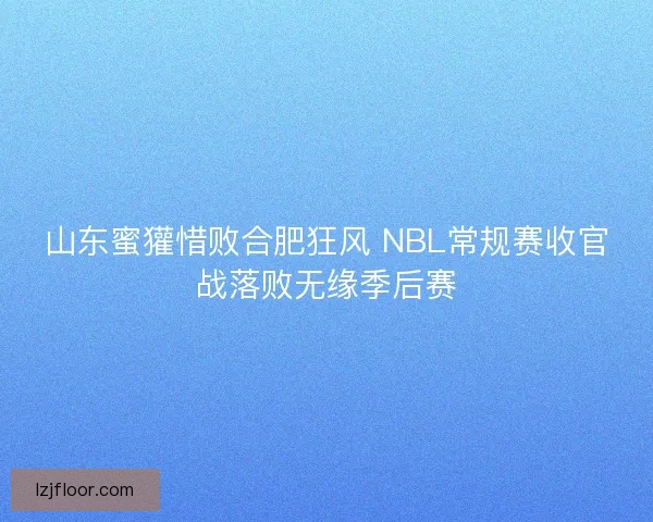 山东蜜獾惜败合肥狂风 NBL常规赛收官战落败无缘季后赛